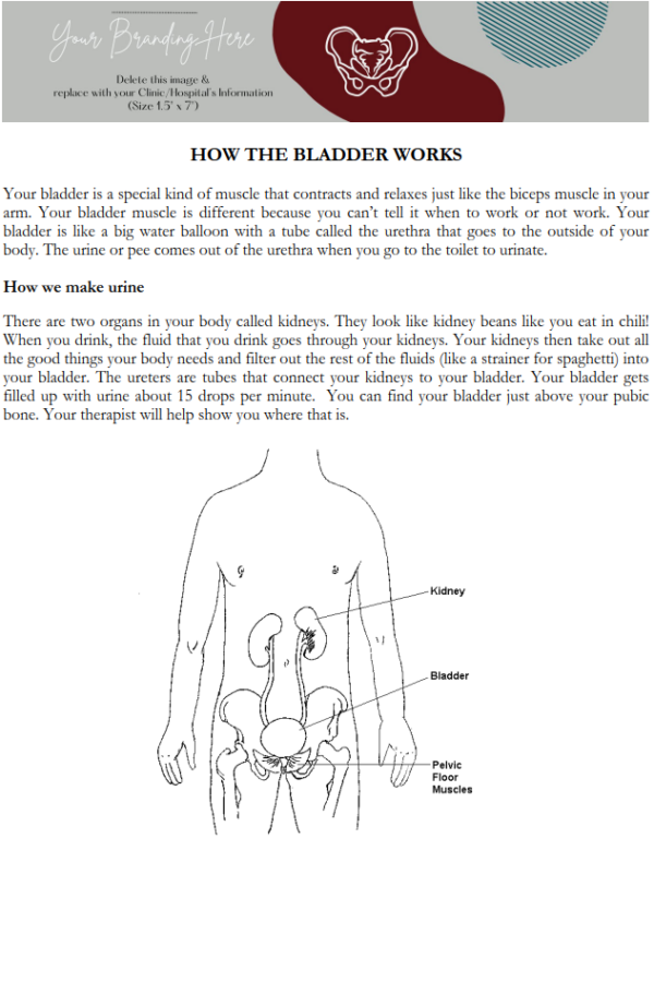 Herman & Wallace Pediatric Pelvic Floor Manual 2nd Edition