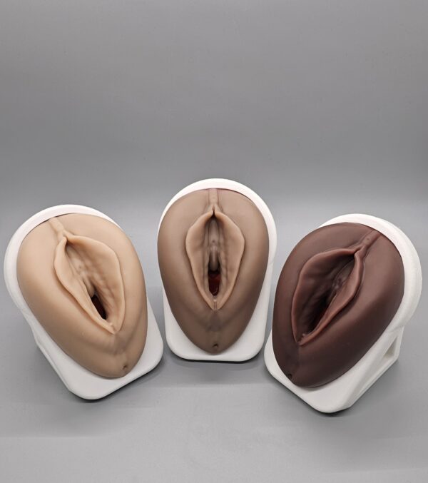 Venus Educational Pelvic Floor Vaginal Model