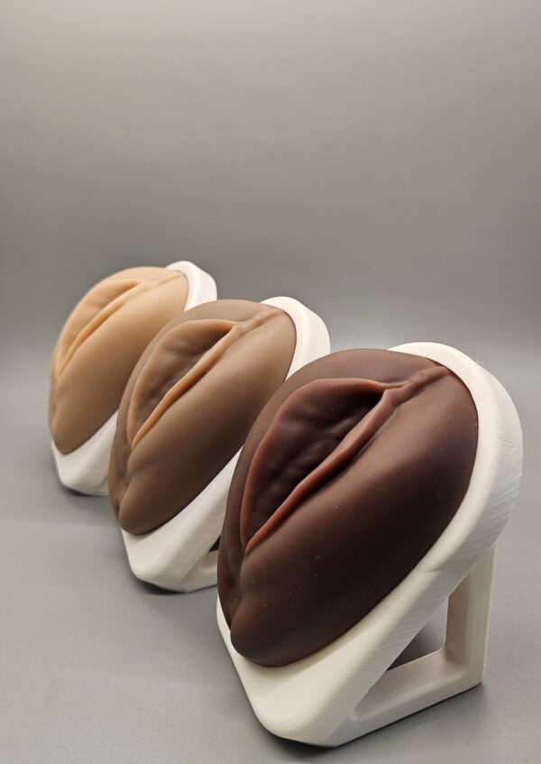Venus Educational Pelvic Floor Vaginal Model - Image 2