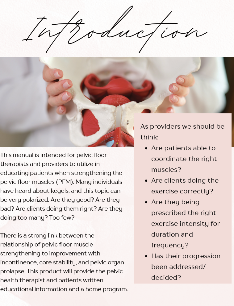Pelvic_Muscle_Coordination
