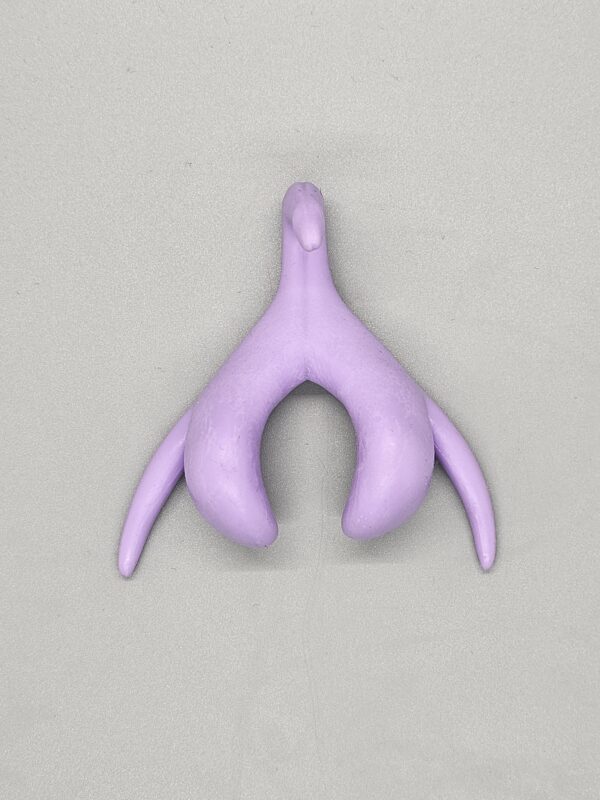 Clitoral Model