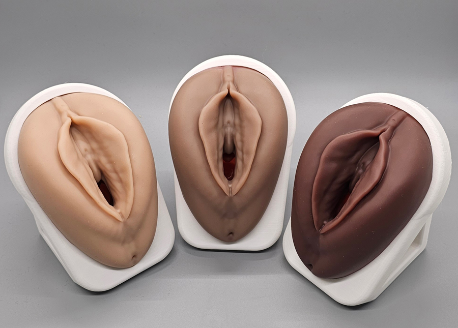 Venus Educational Pelvic Floor Vaginal Models