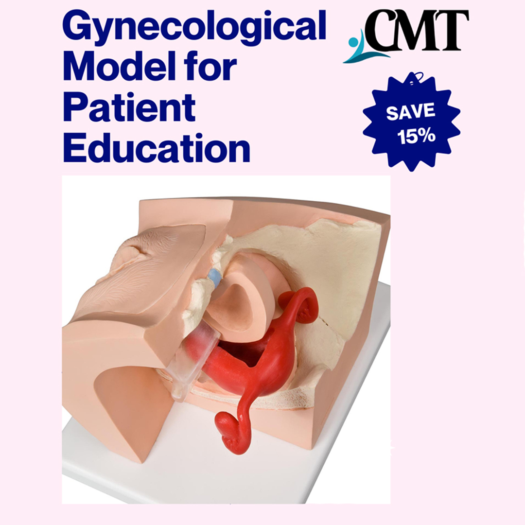 Gynecological Model for Patient Education
